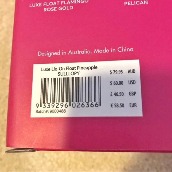 🍍 Beach Floaty - Picture 2 of 2